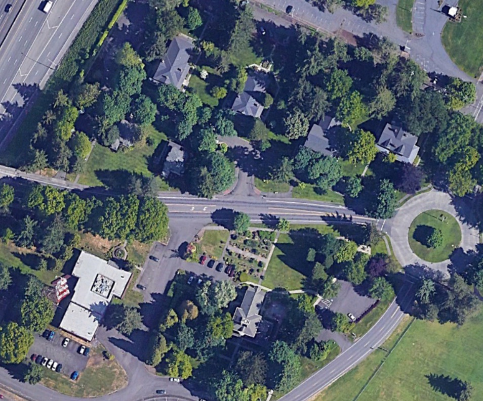 Aerial view of dense tree cover obscuring the ground below.