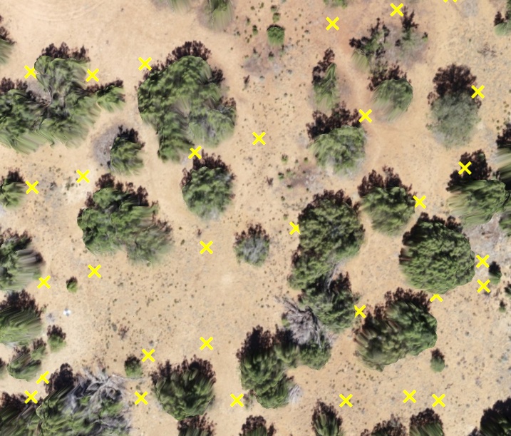 Topographic Points: Sparse Vegetation