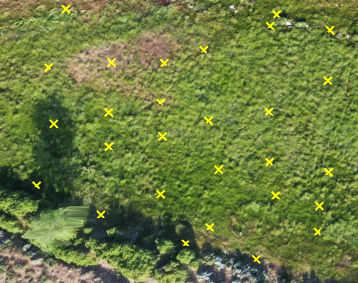Topographic Points: Moderate Vegetation