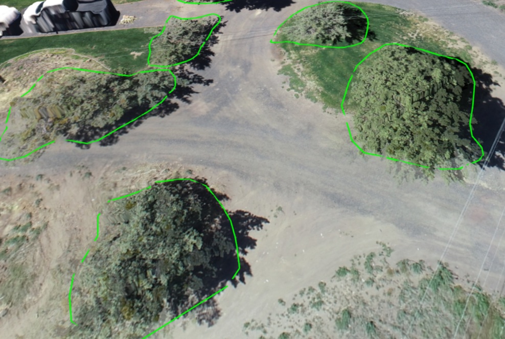 Additional tree driplines example